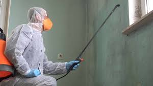 Best Industrial Mold Remediation  in Summit, IL